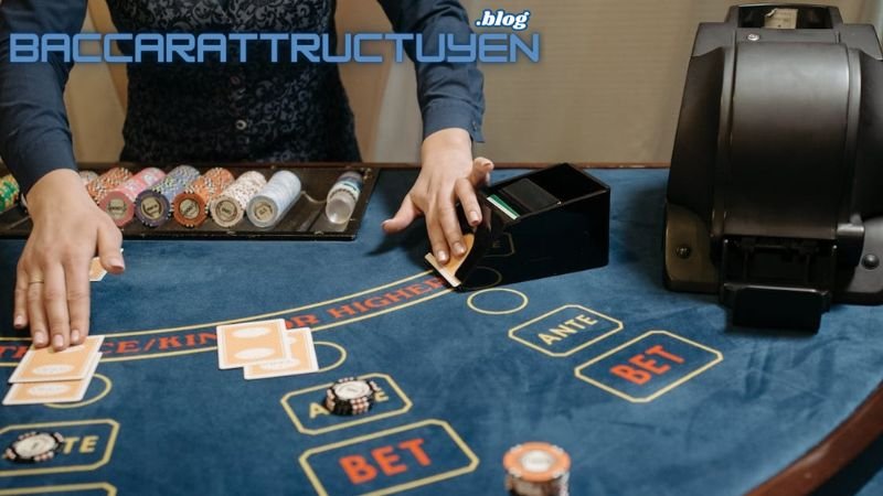 Kinh Nghiệm Baccarat - Học Cách Đọc Cầu Chuẩn Nhất! 3 mot-so-luu-y-ve-kinh-nghiem-baccarat